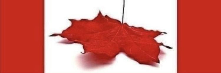 MetisMetisNot Gunn banner
