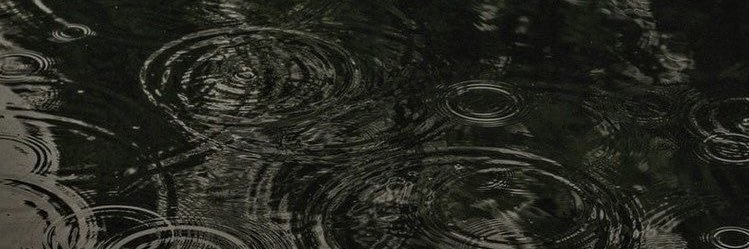 milen7a's profile banner image
