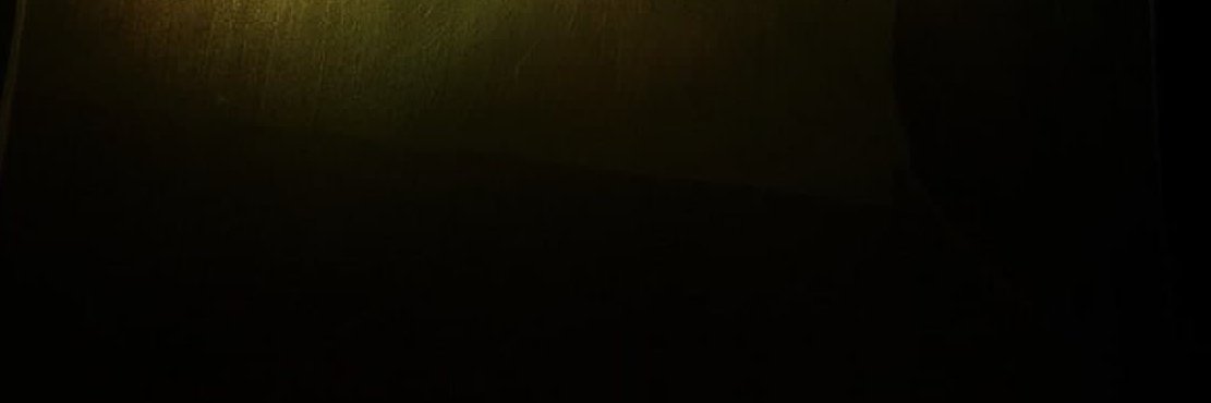 FungleXyz's profile banner image