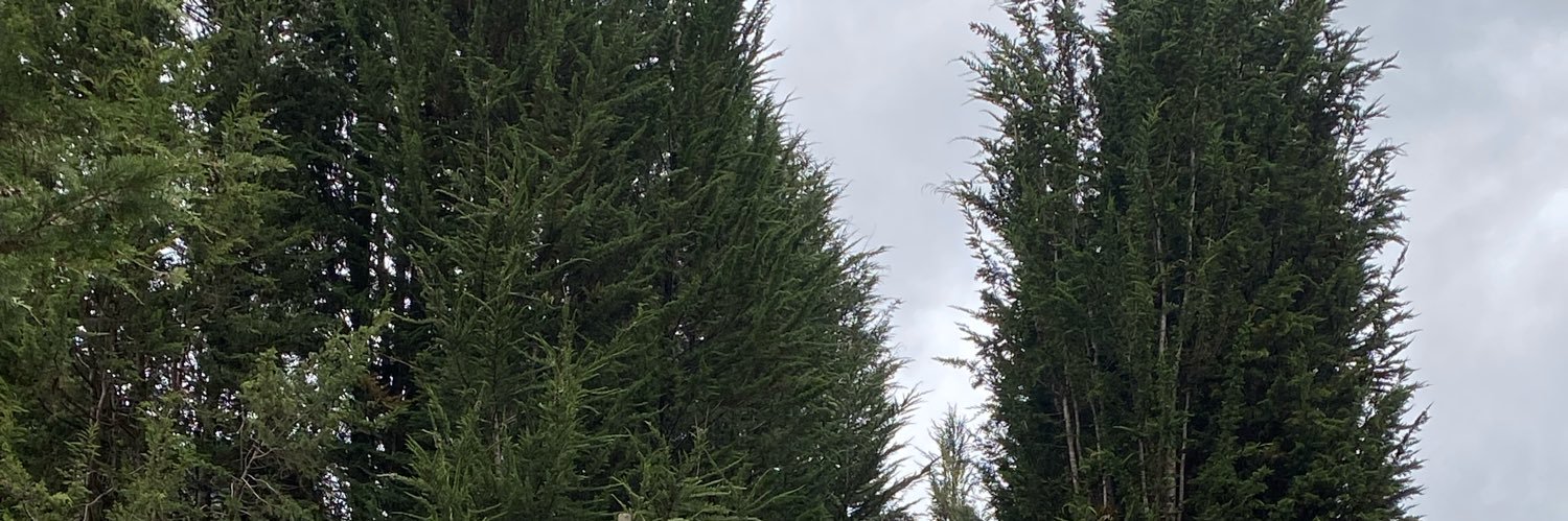CreepyCrow64 banner