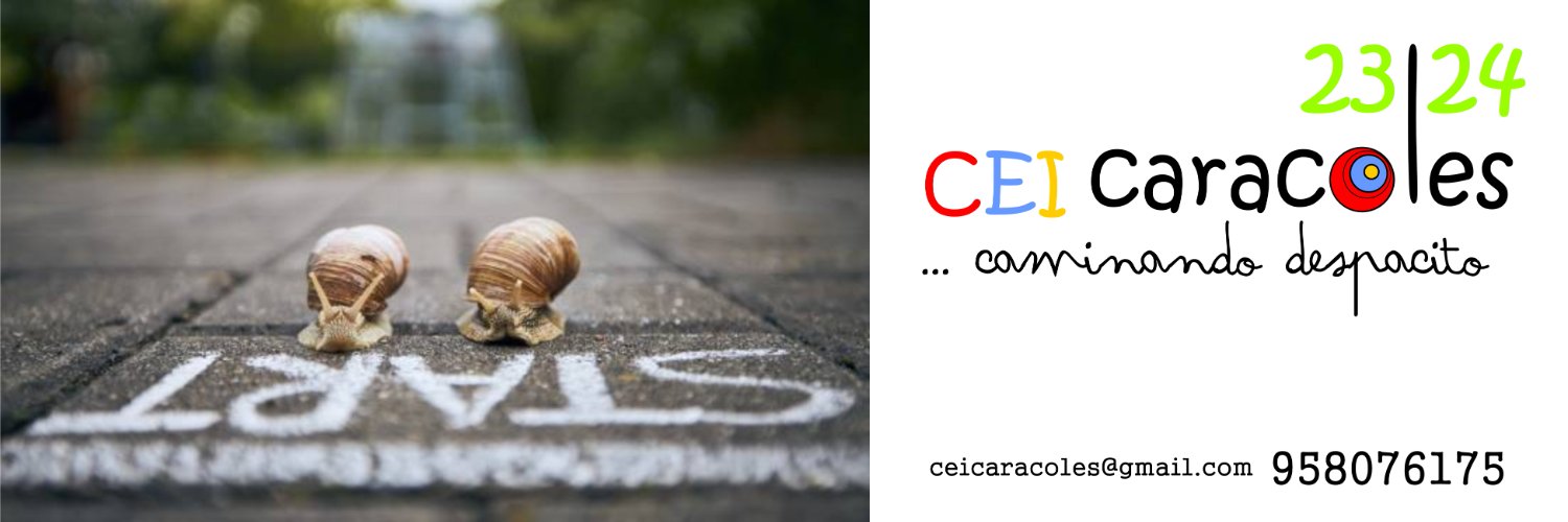 CEICARACOLES's profile banner image