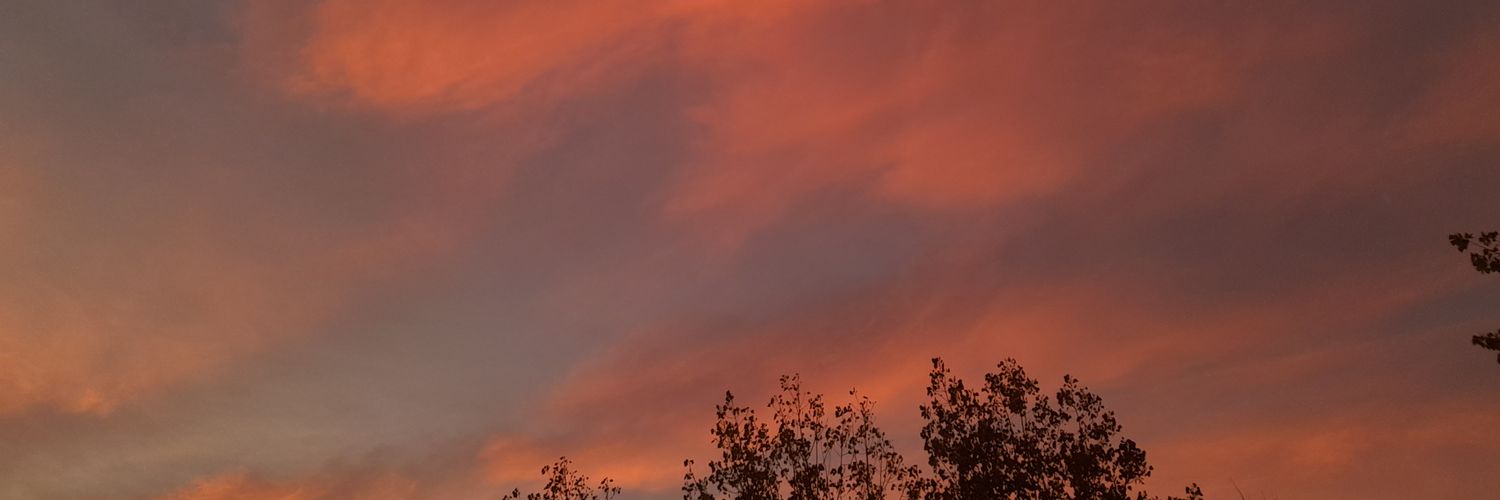 morekabrera's profile banner image
