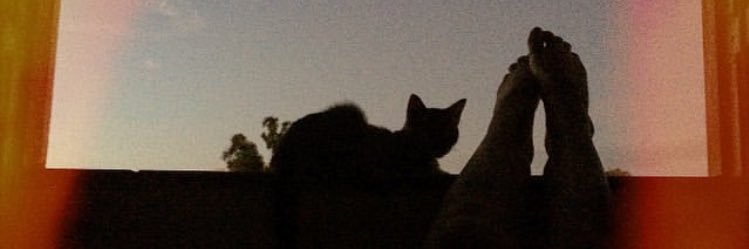 ScarlateSC's profile banner image