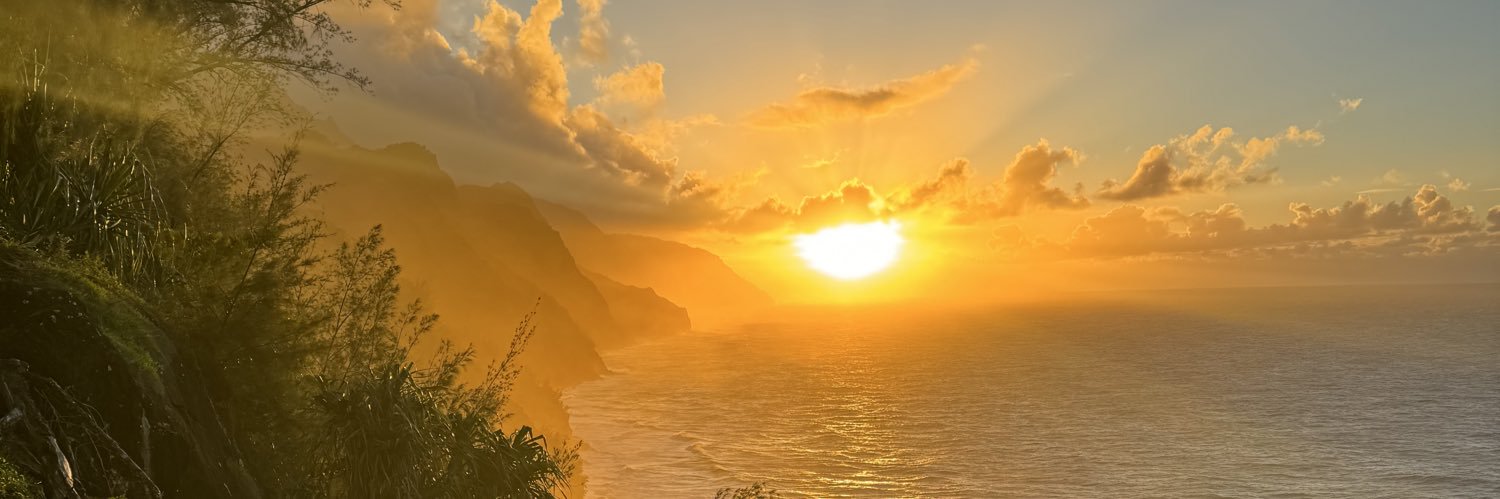 Sealshipt's profile banner image