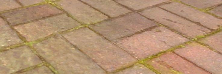 Prome3869's profile banner image