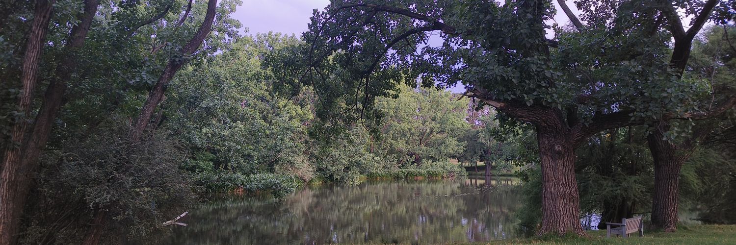 EnergyBender 🦄They/Them banner