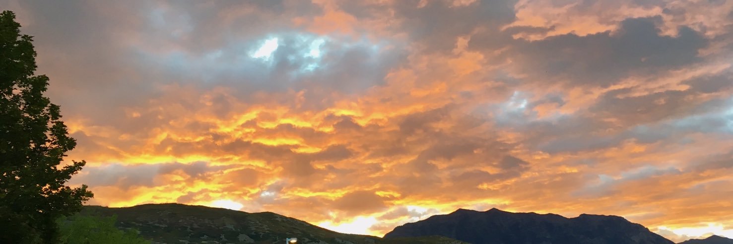 Glen Westbroek banner