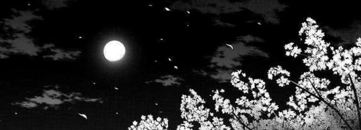 alexkat388's profile banner image