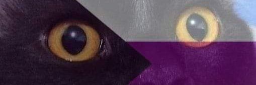 wwhalehunter's profile banner image