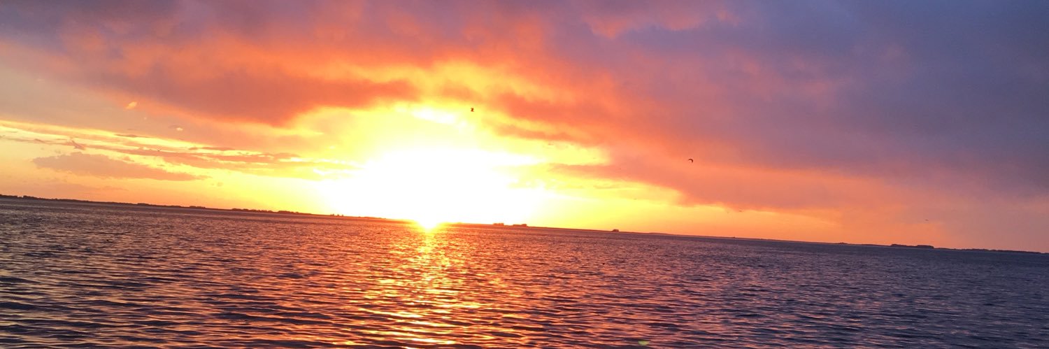 OGorg's profile banner image