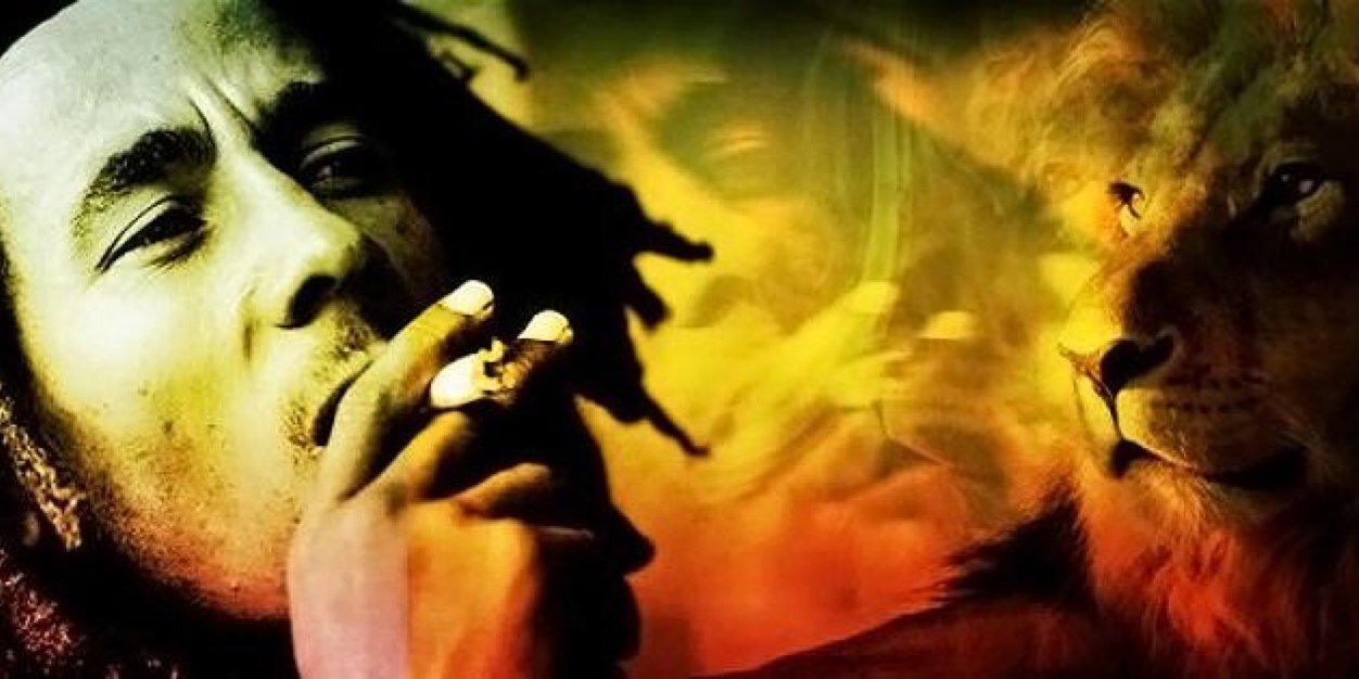 _monicadegroot's profile banner image