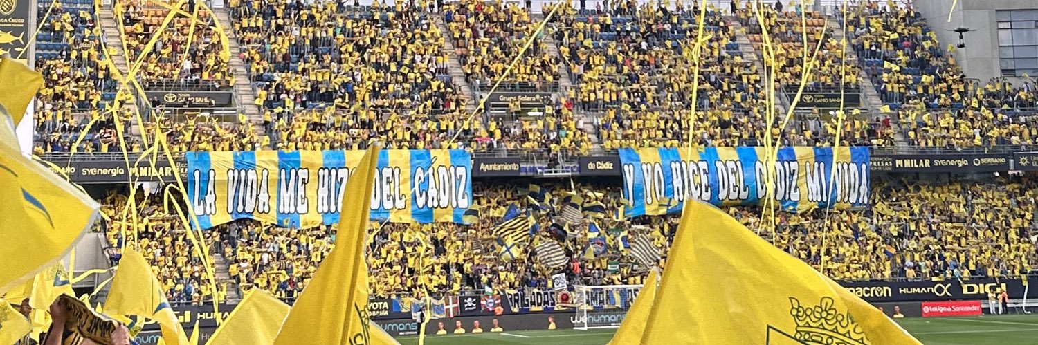 mariotrigoo🐺 banner