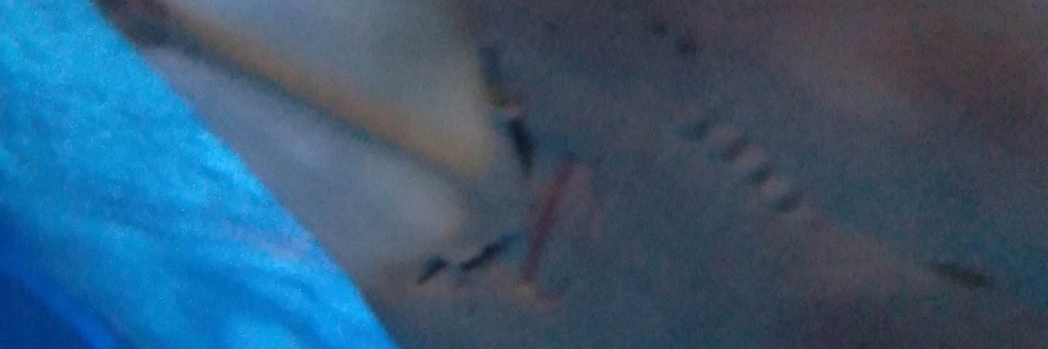 PoseidonsPrince's profile banner image