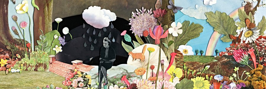 _lilolin's profile banner image