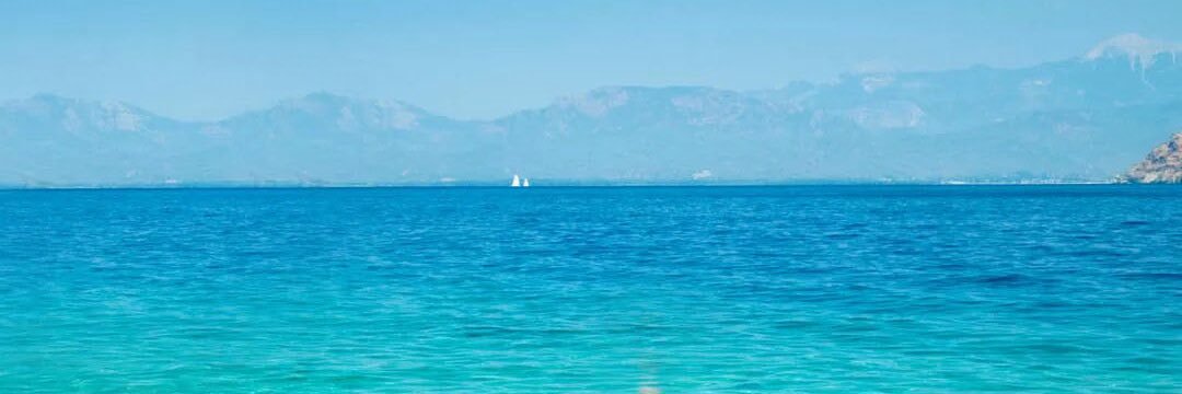 coffeeshawaii's profile banner image