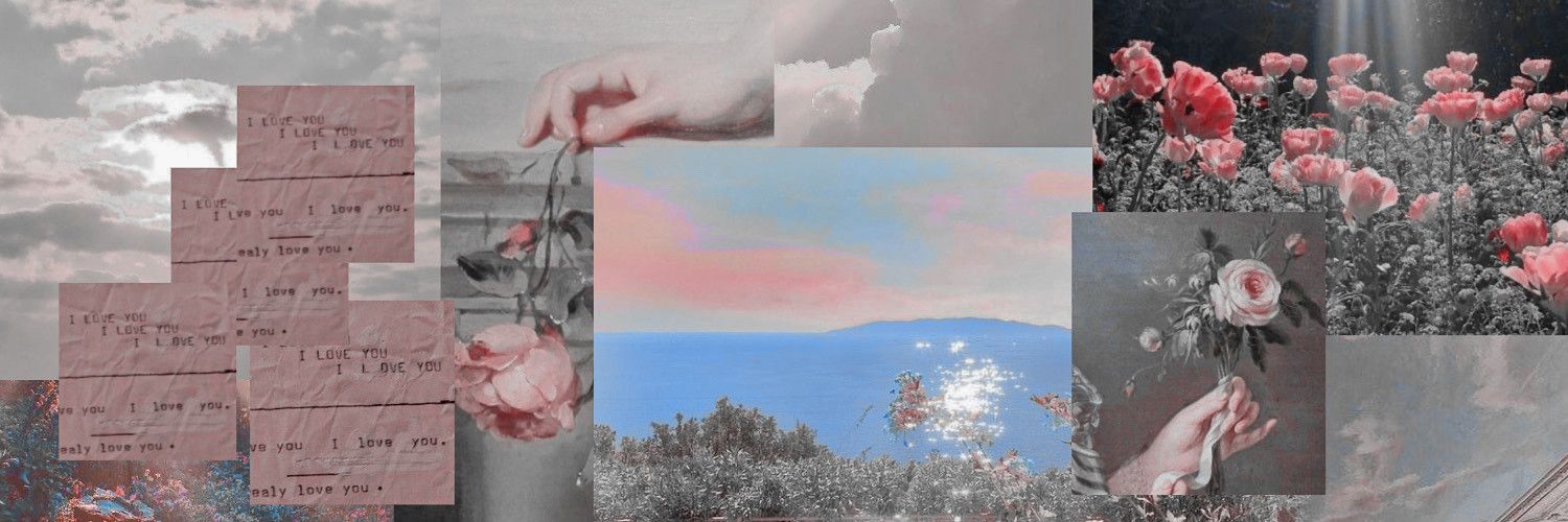 seaborndove's profile banner image