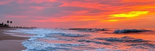 TizzyLissh Profile Banner