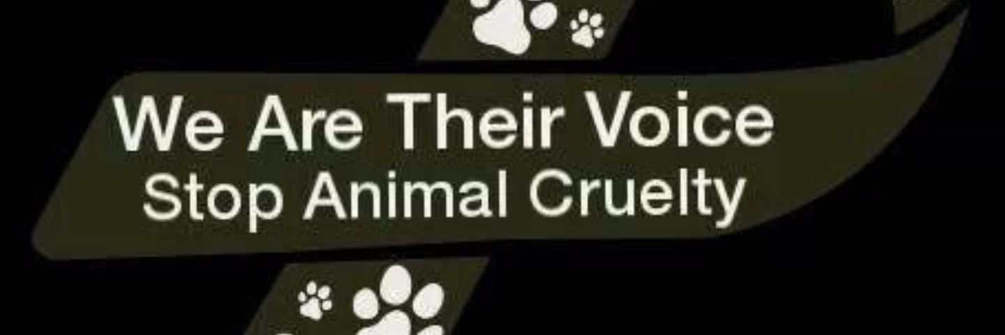 Adorable_Animal's profile banner image