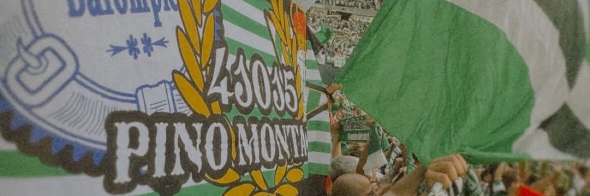 PA฿LO banner
