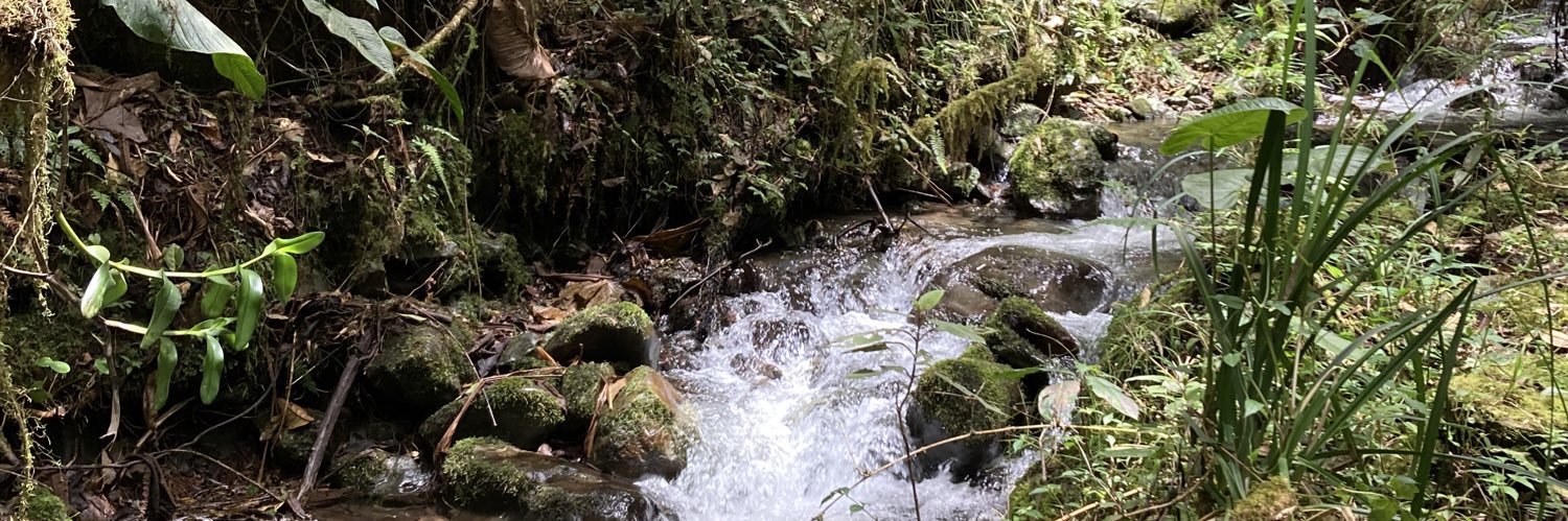 Mónica Páez-Vacas banner