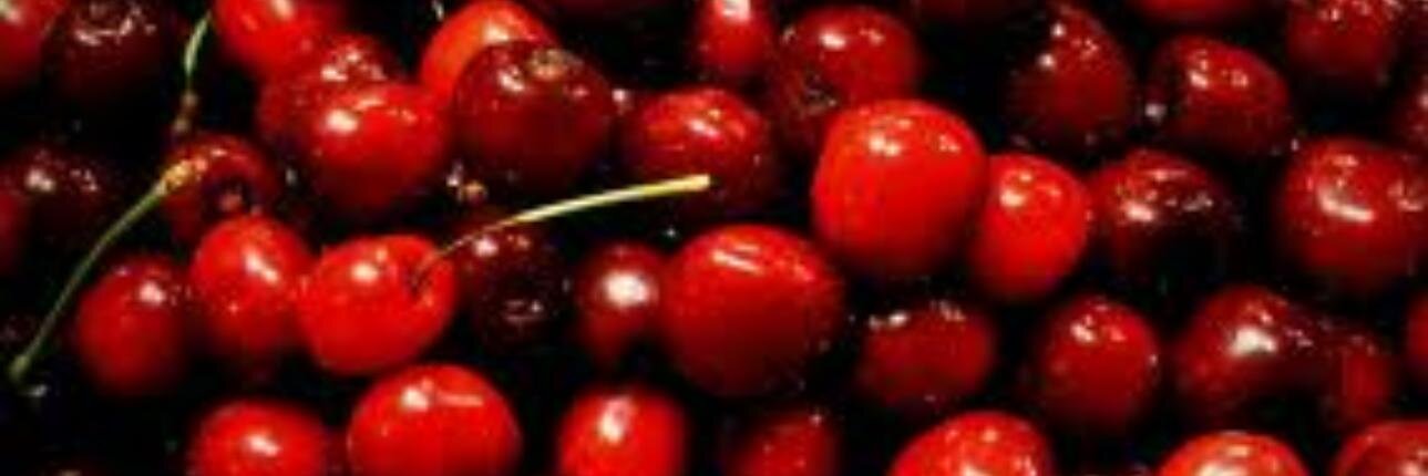 carolinecherry banner