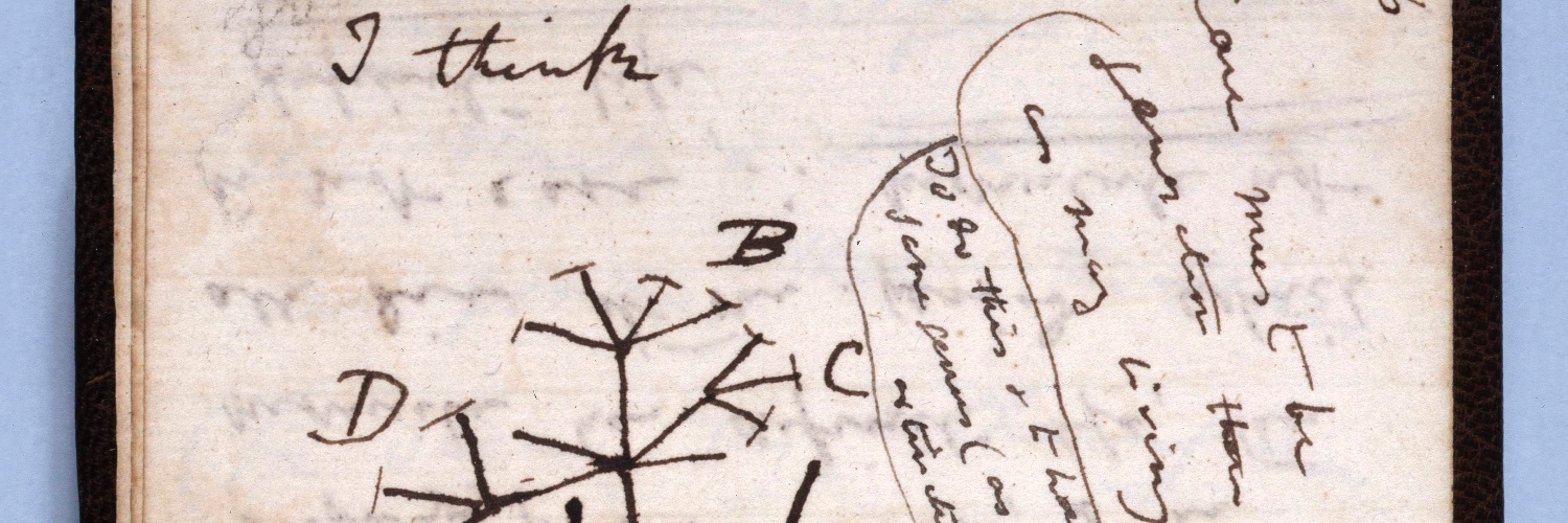 Space In My Brain banner