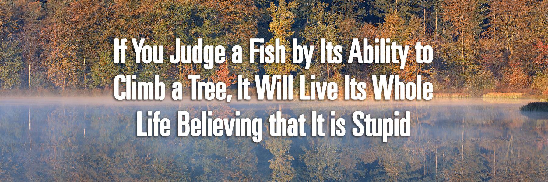 DD_Alabama's profile banner image