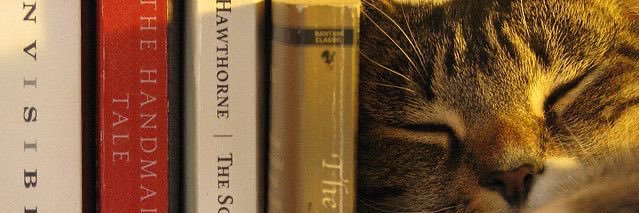 vinicius fofinho banner