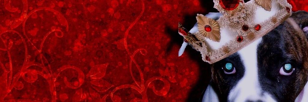 JenniferLyn12's profile banner image