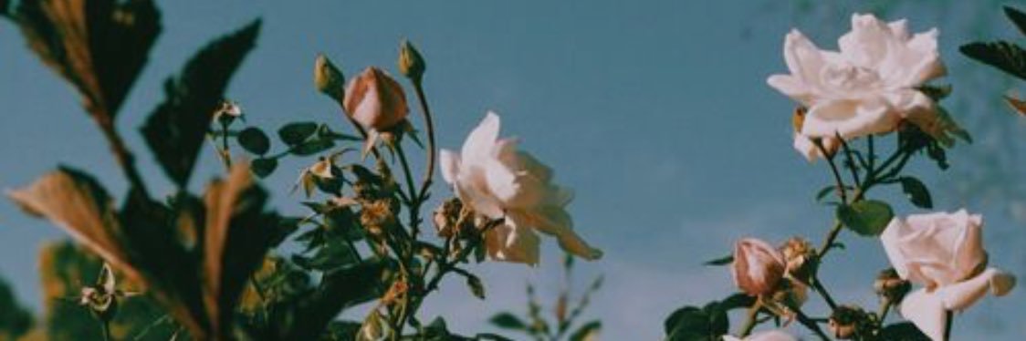 Daily_Quotes42's profile banner image