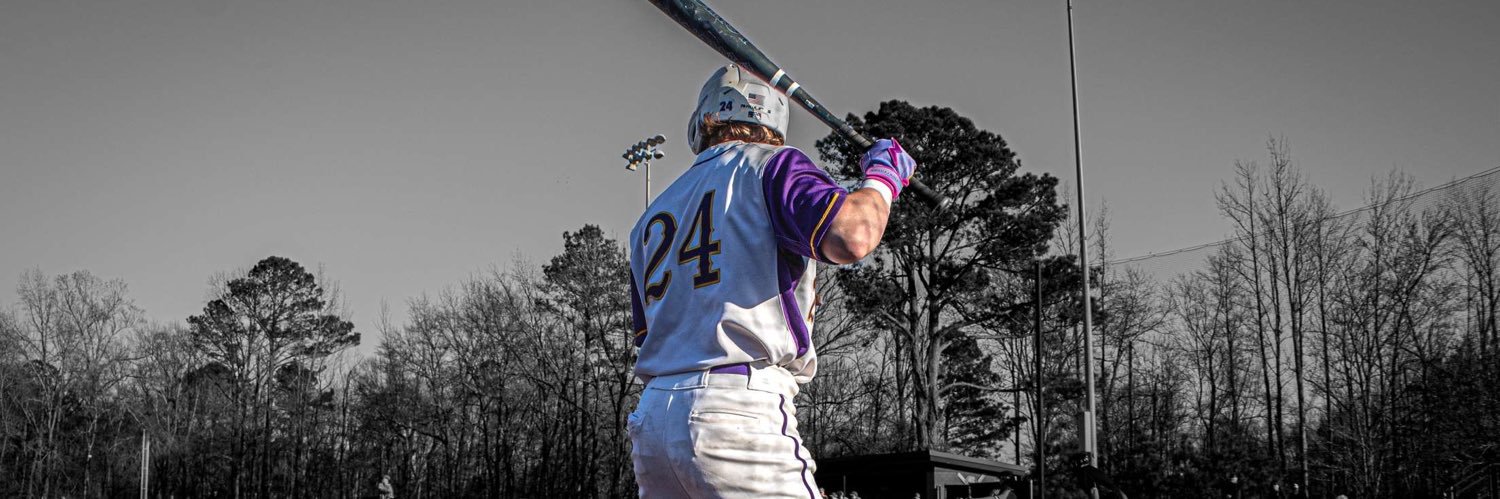 Blake wallace's banner