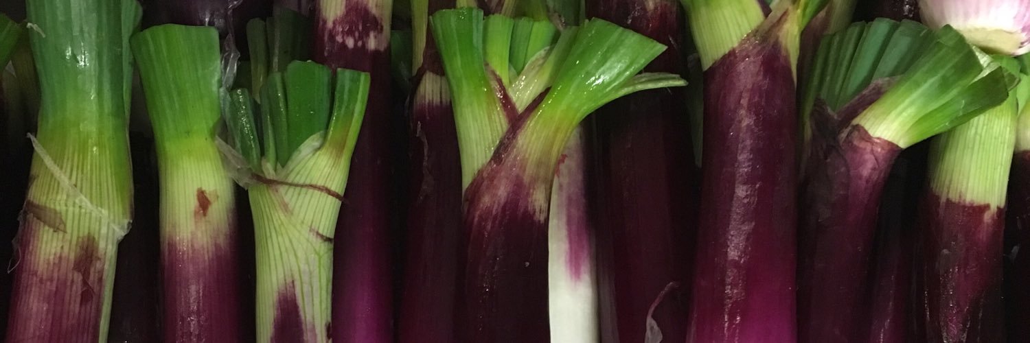 Michael Gallina banner