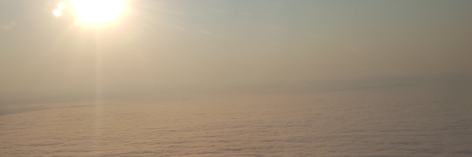 dantrialcl's profile banner image
