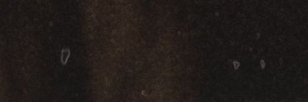 Nora is back Profile Banner