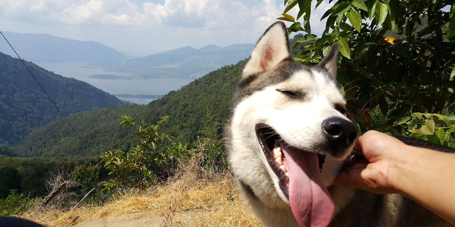 danbaliiz's profile banner image
