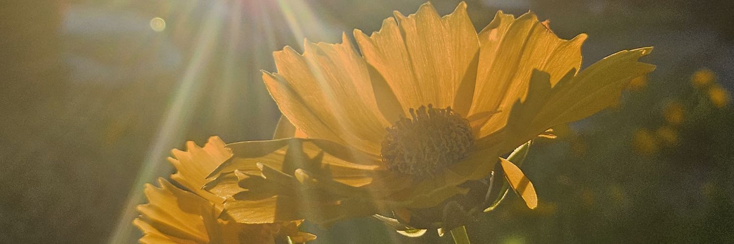 ThaNotoriousRPG's profile banner image