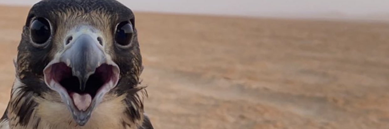 m7madnr's profile banner image