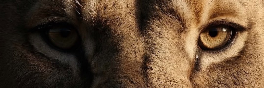 Gemamex2's profile banner image