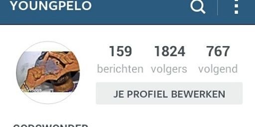 YoungPeloo's profile banner image