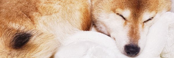 CalpisWater74 Profile Banner