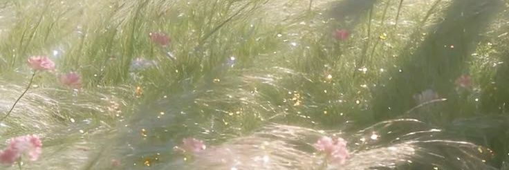 Bdvtsr12's profile banner image