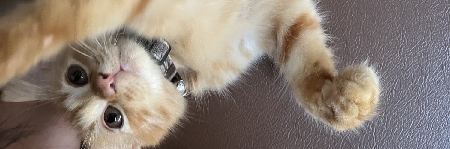 pusingpalabeby_'s profile banner image