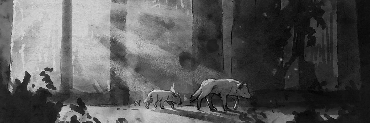 raulnaca's profile banner image