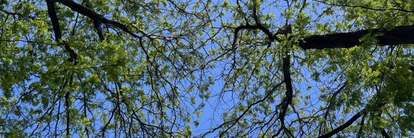 RaulGreggMD Profile Banner