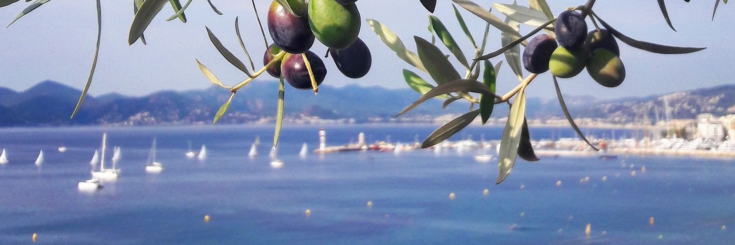 Josselin Charmillon banner