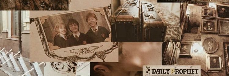 ExploraNorax's profile banner image
