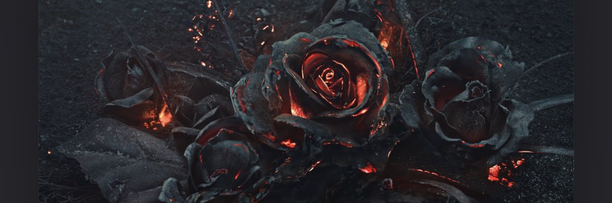 luihoudini's profile banner image