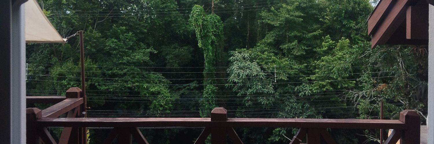 what_taina's profile banner image