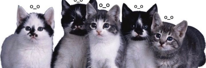 gaboba banner