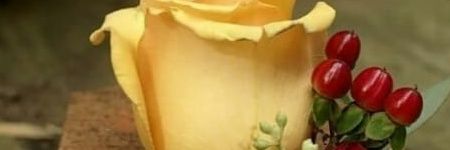 غسان سليمان banner